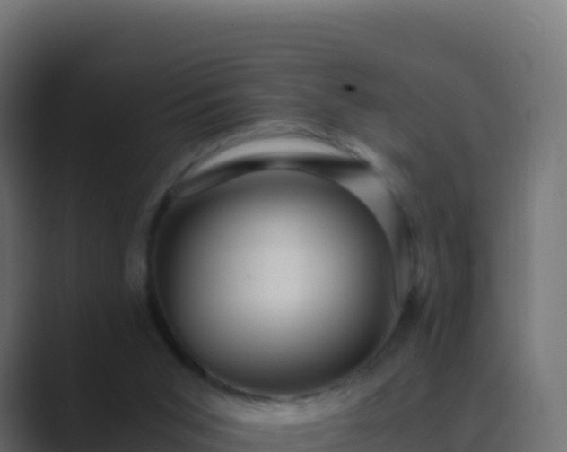 X0000089730015200706281557