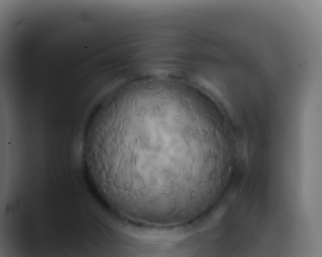 X0000089730016200706281557