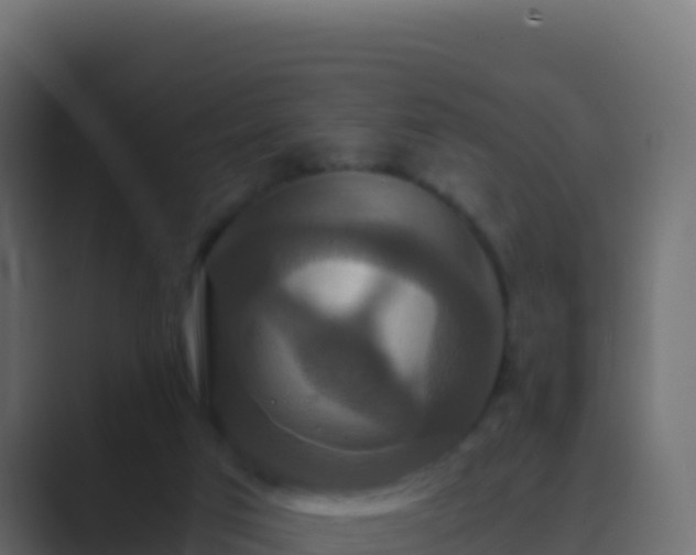 X0000089730017200706281557