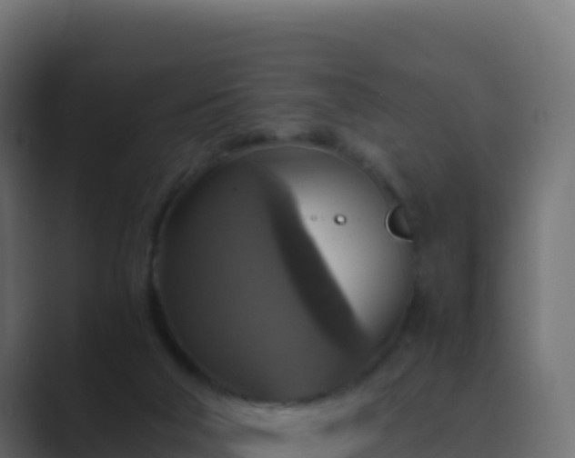 X0000089730018200706281557