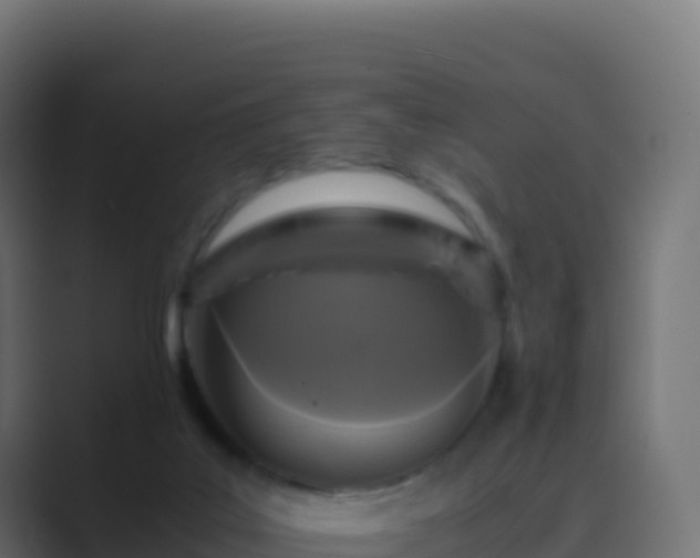 X0000089730019200706281557