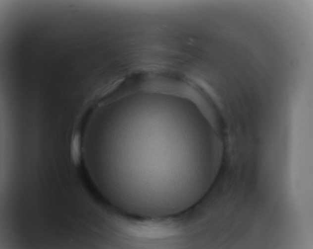 X0000089730020200706281557