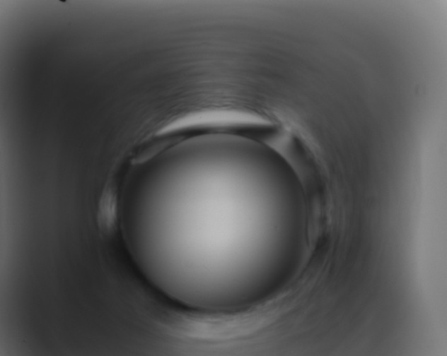 X0000089730021200706281557