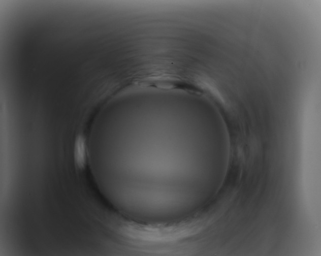 X0000089730022200706281557