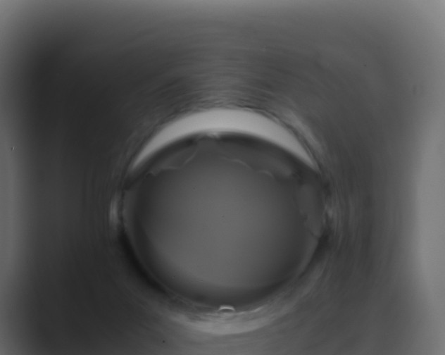 X0000089730023200706281557