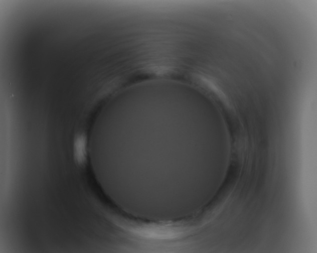 X0000089730024200706281557