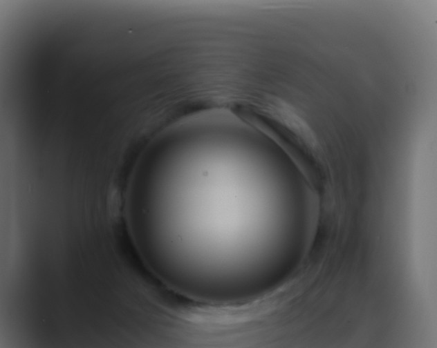 X0000089730025200706281557