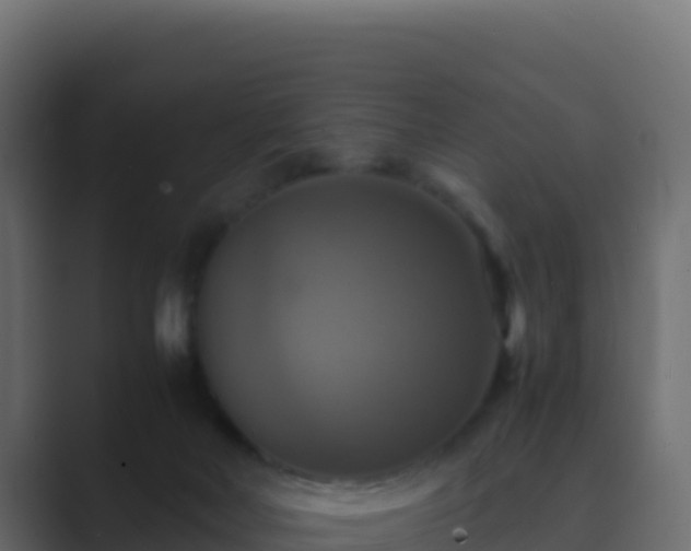 X0000089730026200706281557