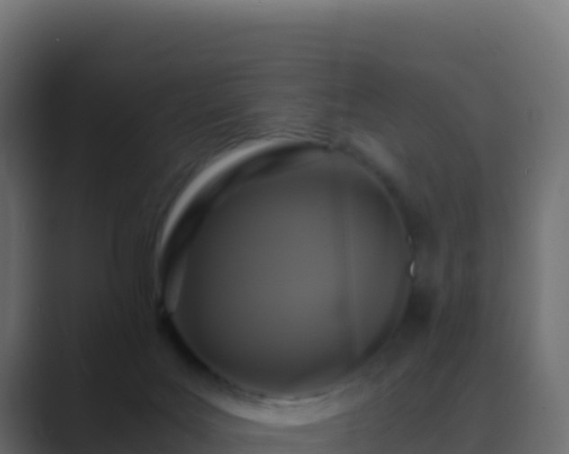 X0000089730027200706281557