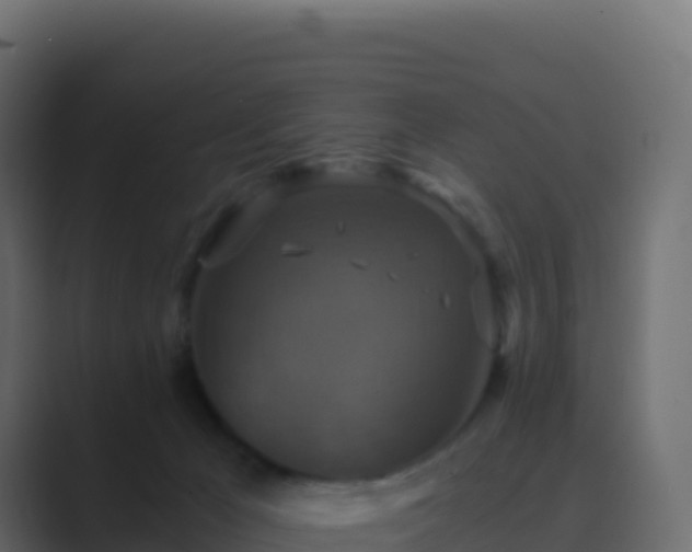 X0000089730029200706281557