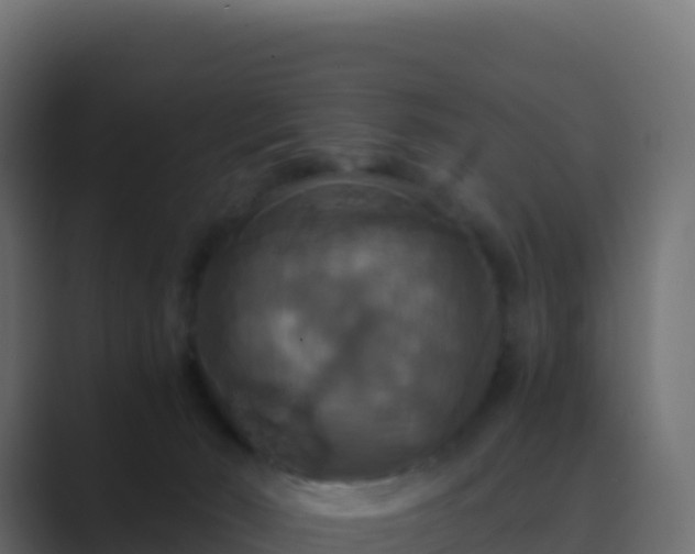 X0000089730030200706281557