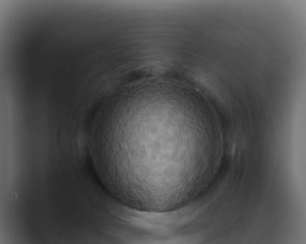 X0000089730034200706281557