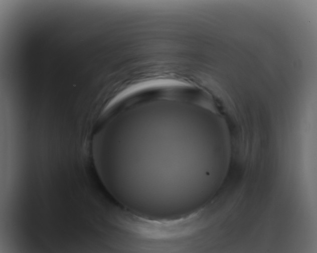 X0000089730035200706281557
