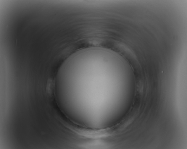 X0000089730036200706281557