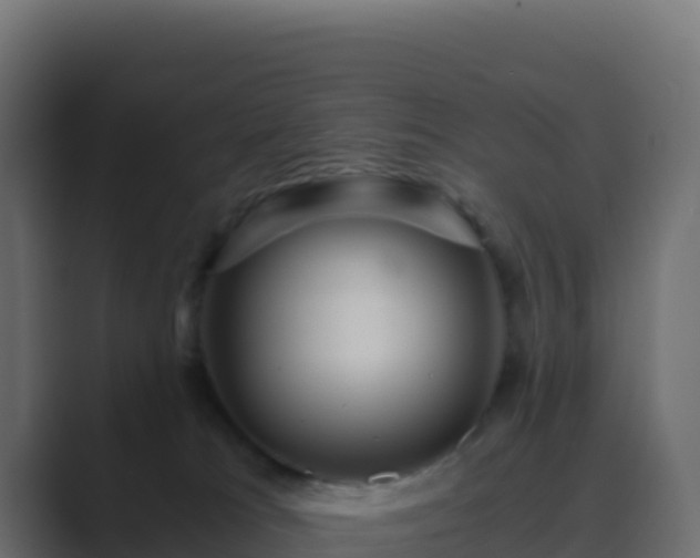 X0000089730037200706281557