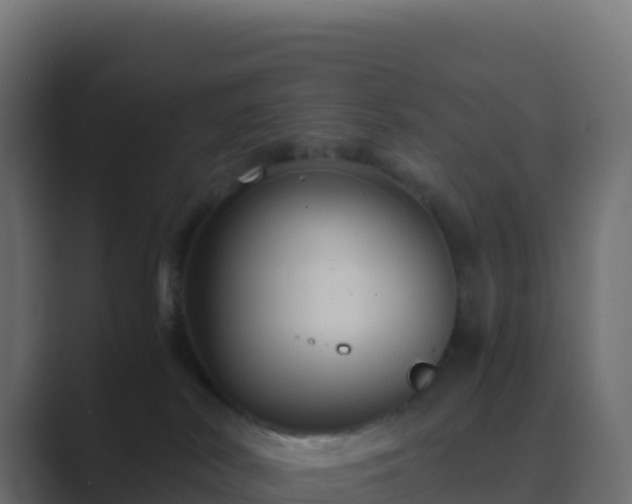 X0000089730038200706281557