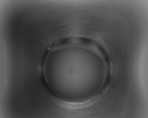 X0000089730039200706281557