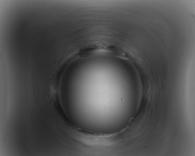 X0000089730040200706281557
