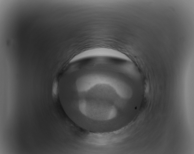 X0000089730041200706281557