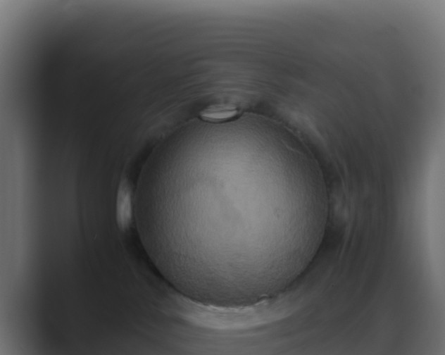 X0000089730042200706281557
