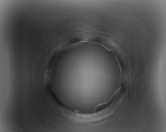 X0000089730043200706281557