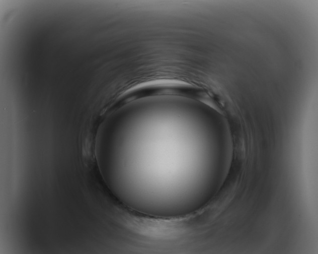 X0000089730044200706281557