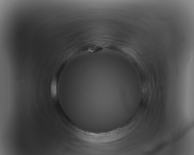 X0000089730046200706281557