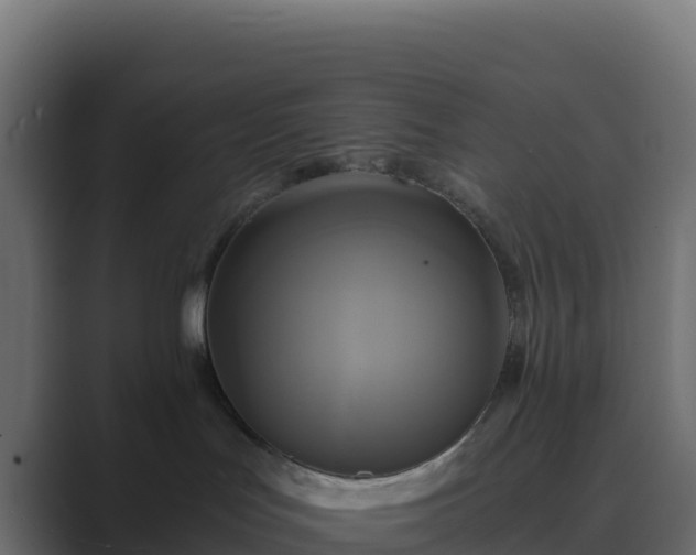 X0000089730047200706281557