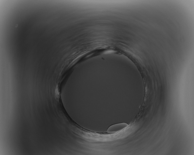 X0000089730048200706281557