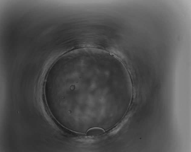 X0000089730049200706281556