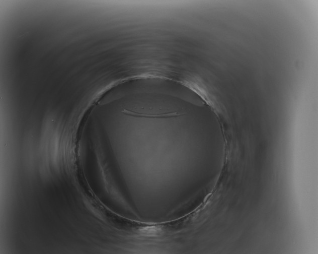 X0000089730050200706281556