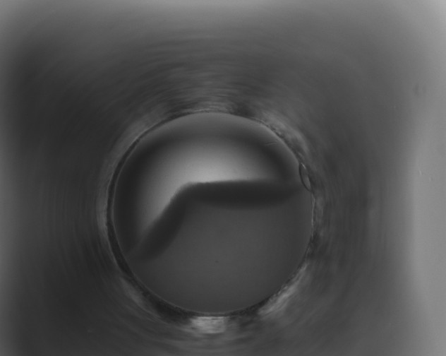X0000089730051200706281556