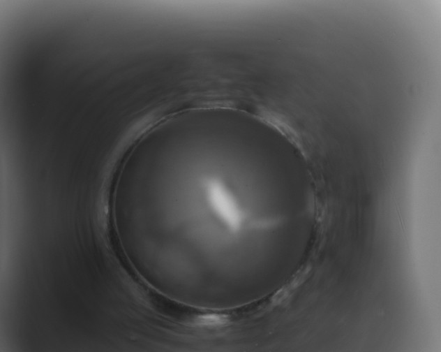 X0000089730053200706281556