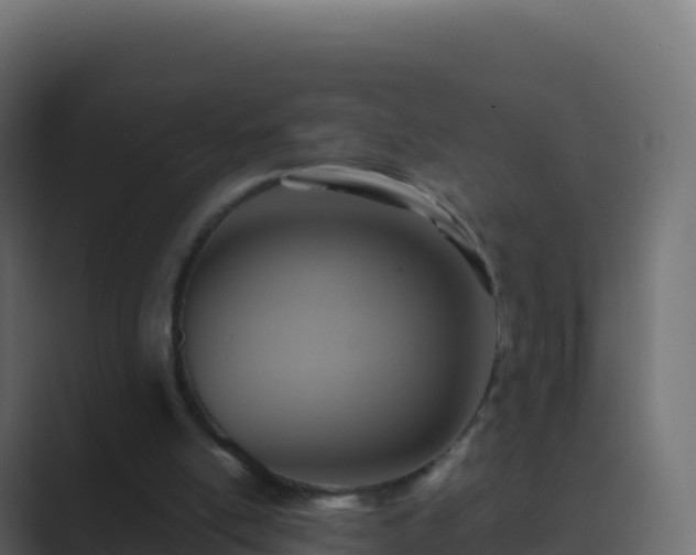 X0000089730054200706281556