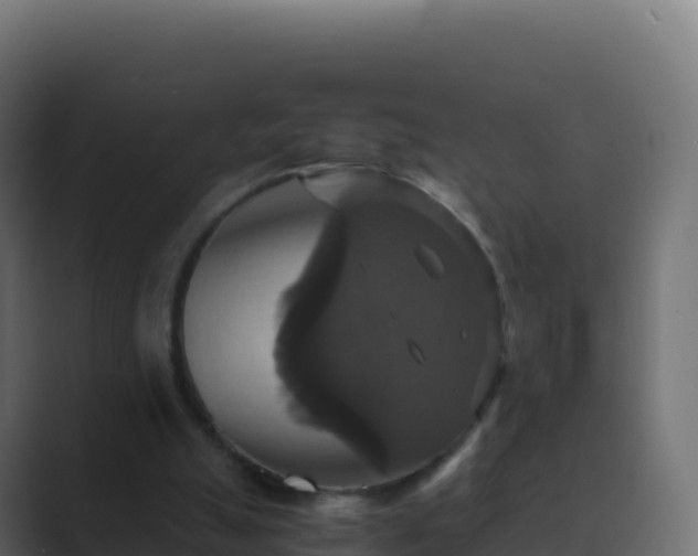 X0000089730055200706281556