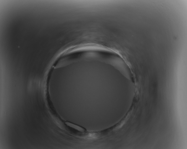 X0000089730056200706281556