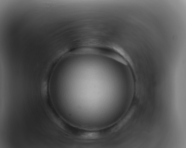 X0000089730057200706281556