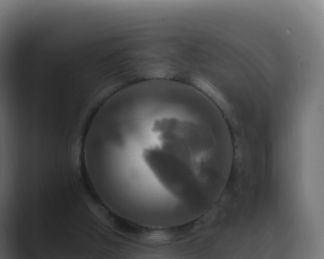 X0000089730058200706281556