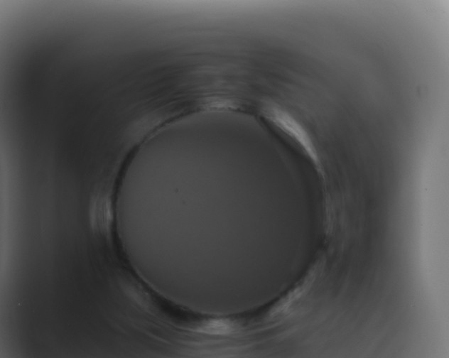 X0000089730059200706281556