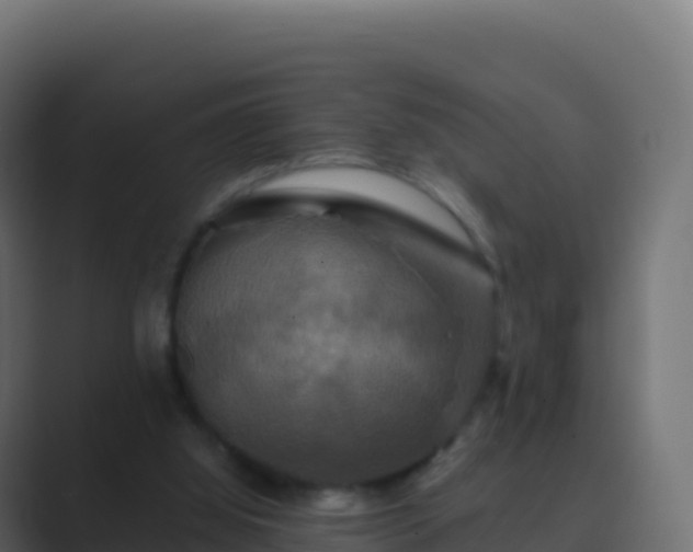 X0000089730060200706281556