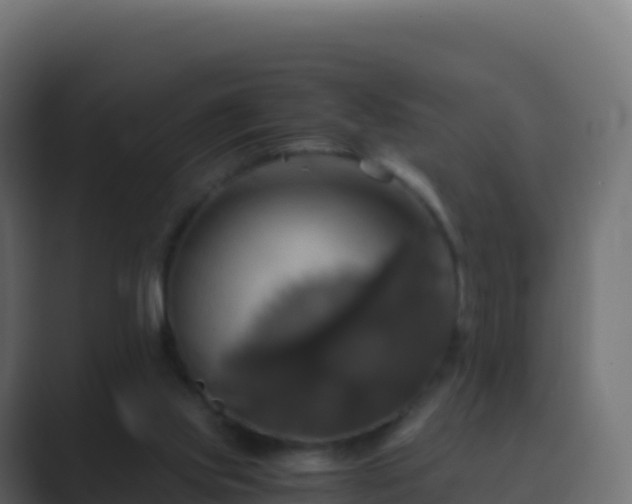 X0000089730061200706281556