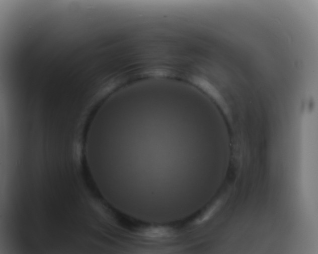 X0000089730063200706281556