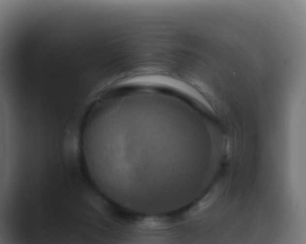 X0000089730064200706281556