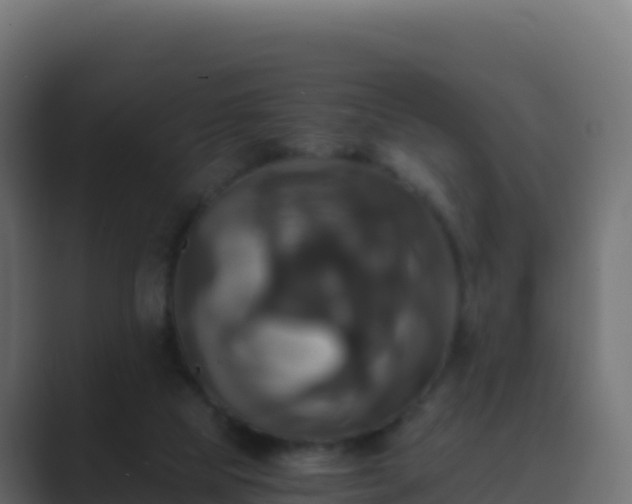 X0000089730065200706281556