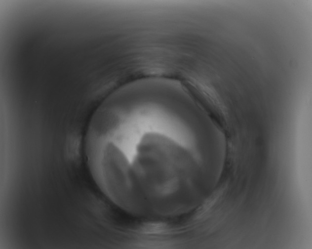 X0000089730066200706281556
