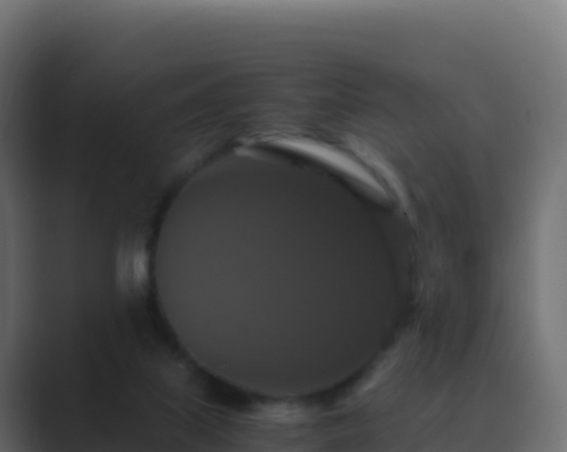 X0000089730067200706281556