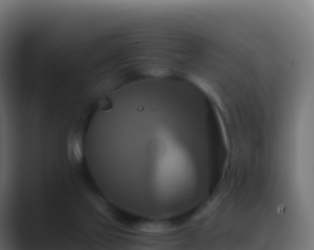 X0000089730069200706281556