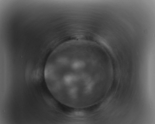 X0000089730073200706281557