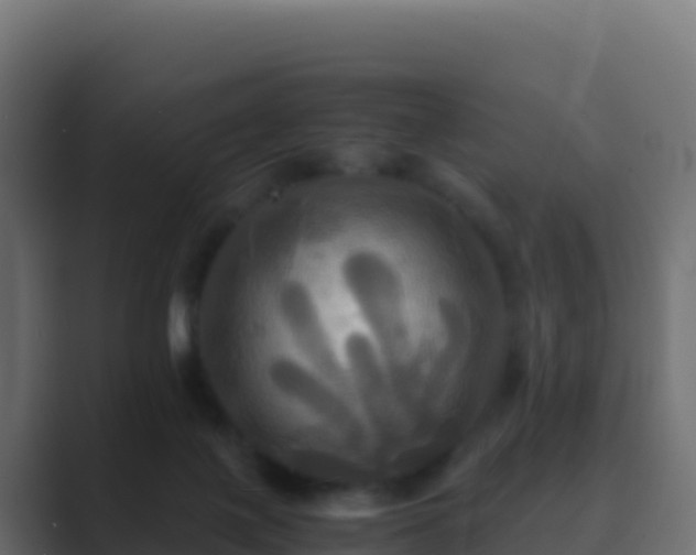 X0000089730075200706281557
