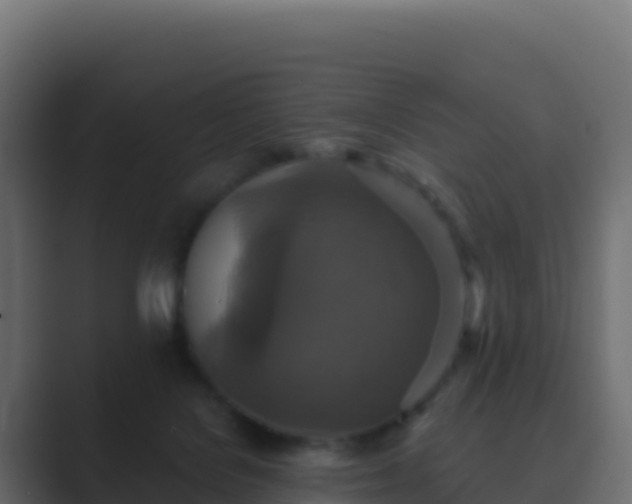 X0000089730076200706281557